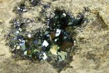 Iridescent, Rainbow Andradite Garnets - Norway #342362-1